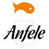 Logo de ANFELE