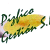 Logo de PIZFICO GESTION