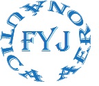 Logo de FEYJOSA AERONAUTICA