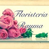 Logo de FLORISTERIA RAYMA